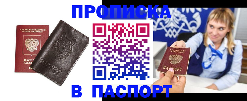 где прописаться в Каменке